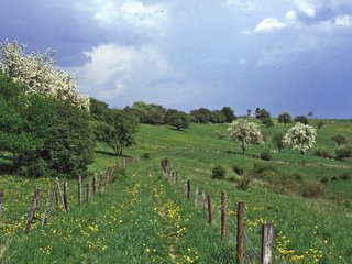 Vortrag zum Thema Wildschaden