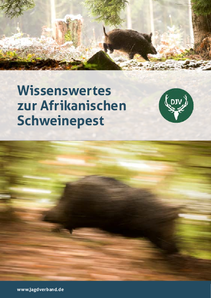 pdf-preview