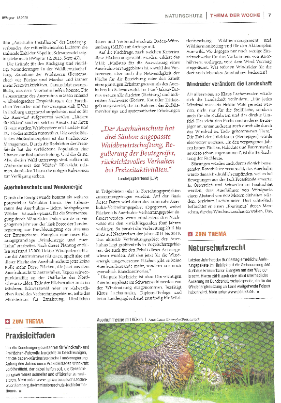 pdf-preview