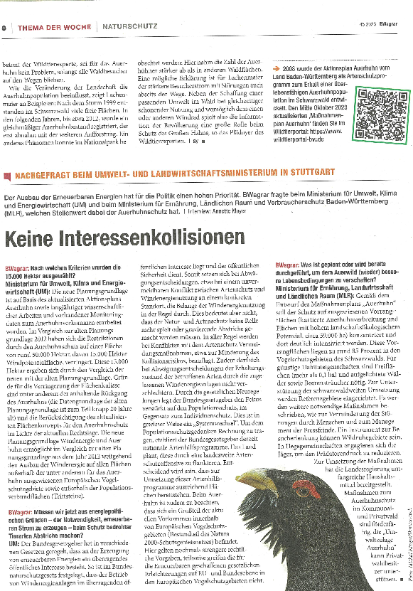 pdf-preview