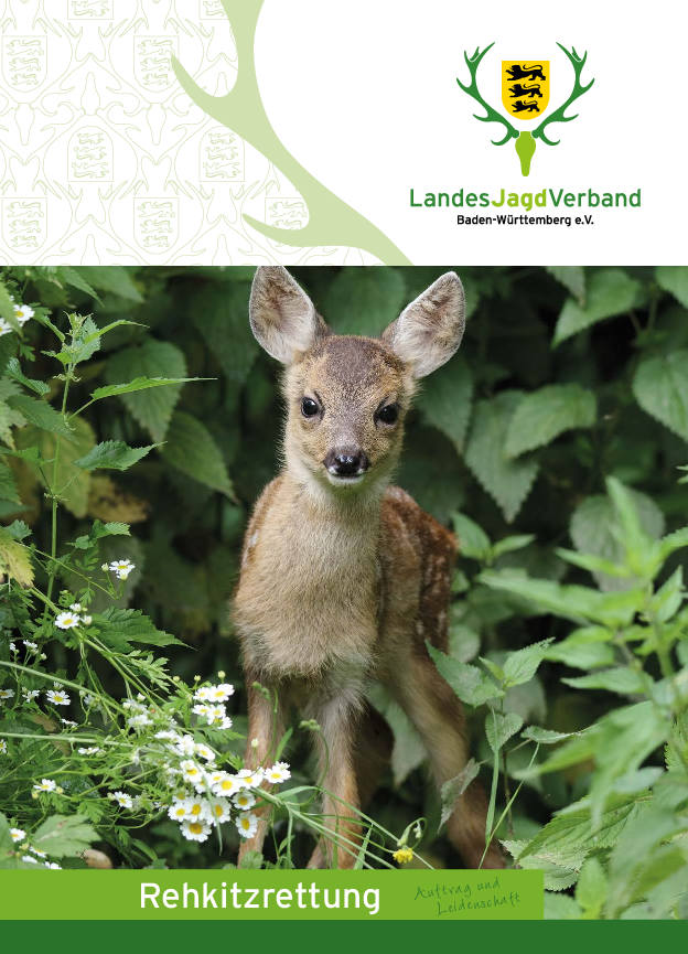 pdf-preview